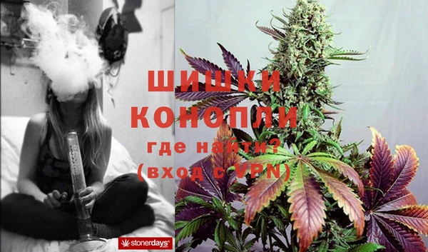 PSILOCYBIN Алзамай