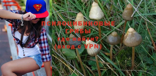 PSILOCYBIN Алзамай