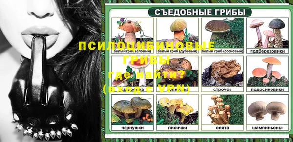 PSILOCYBIN Алзамай