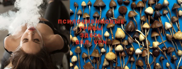 PSILOCYBIN Алзамай
