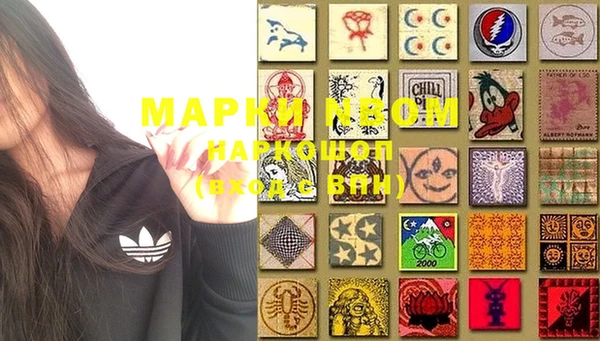 PSILOCYBIN Алзамай