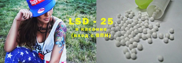 PSILOCYBIN Алзамай