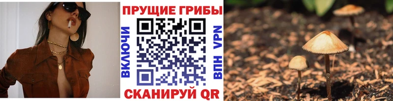 Псилоцибиновые грибы мицелий  Венёв 
