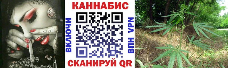 Бошки Шишки ГИДРОПОН  купить   площадка клад  Венёв 